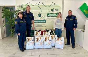 сотрудники тюремной больницы красноярска оказали помощь бездомным собакам