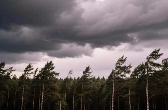 какая погода будет 24 июля в красноярске