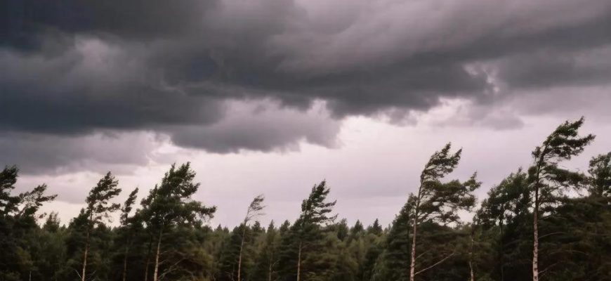 какая погода будет 24 июля в красноярске