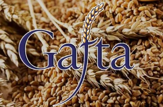 статус международного аналитика GAFTA