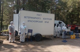 ветеринары ГУФСИН красноярского края
