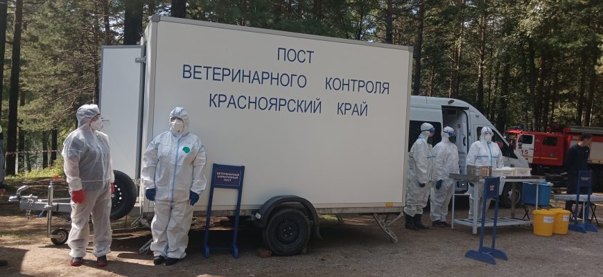 ветеринары ГУФСИН красноярского края