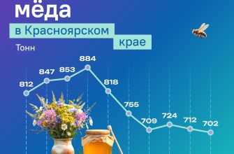 пресс-службе Красноярскстата