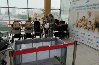 Министерство соцполитики Красноярского края