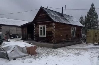 нападение медведя в богучанском районе