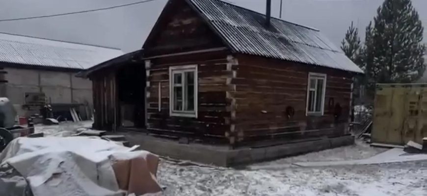 нападение медведя в богучанском районе
